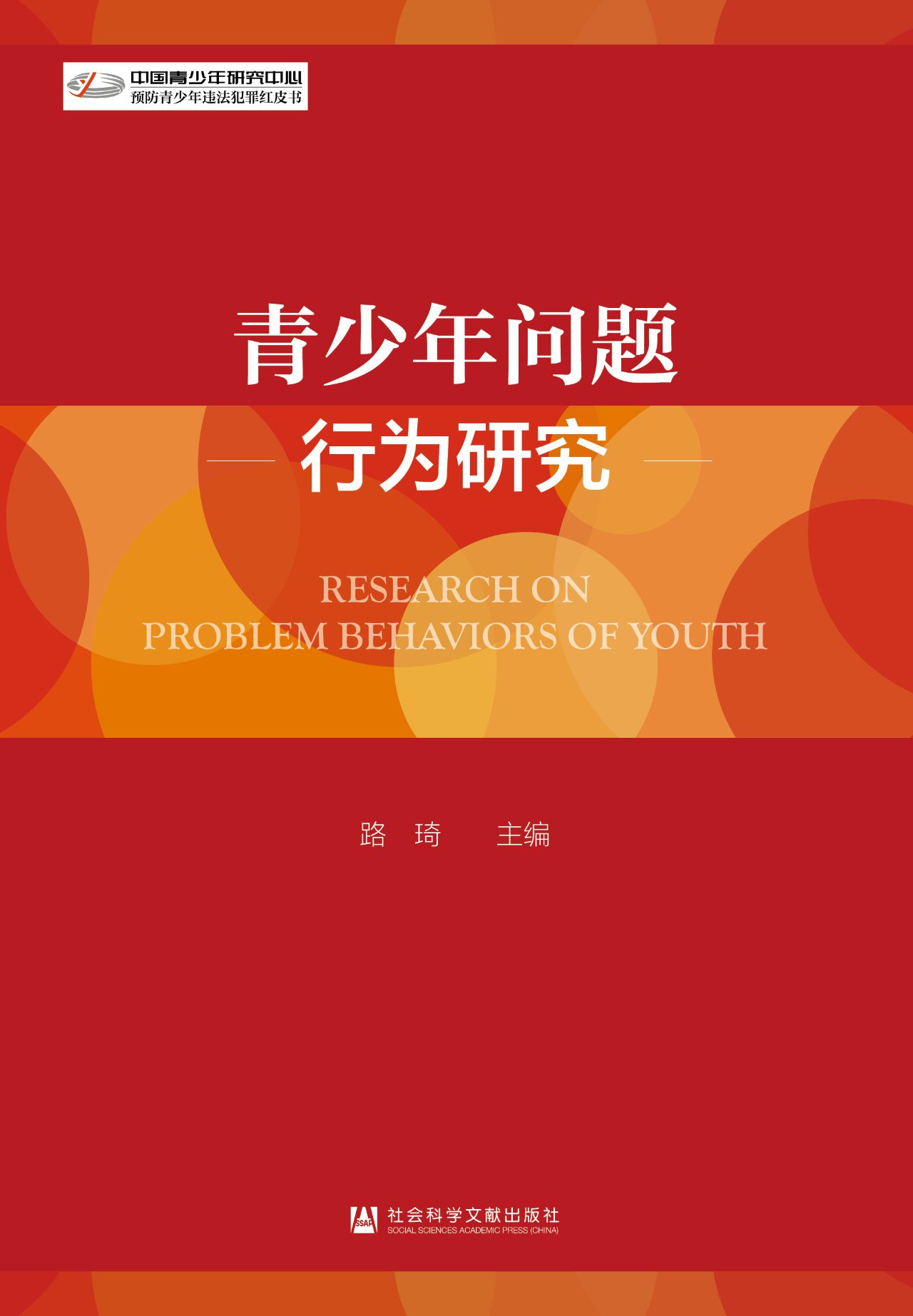 青少年问题行为研究