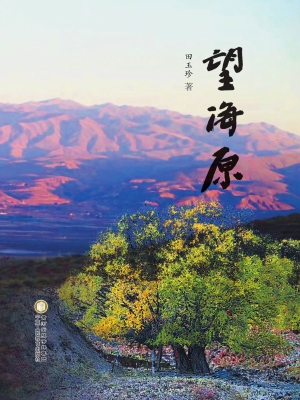 望海原