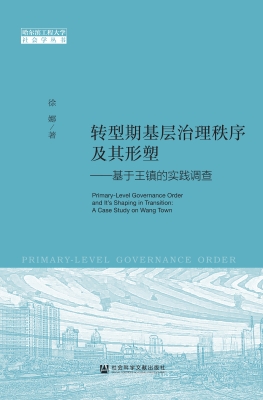 转型期基层治理秩序及
