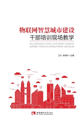 物联网智慧城市建设干