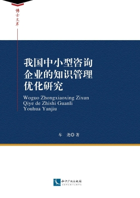我国中小型咨询企业的