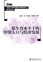 低生育水平下的中国人