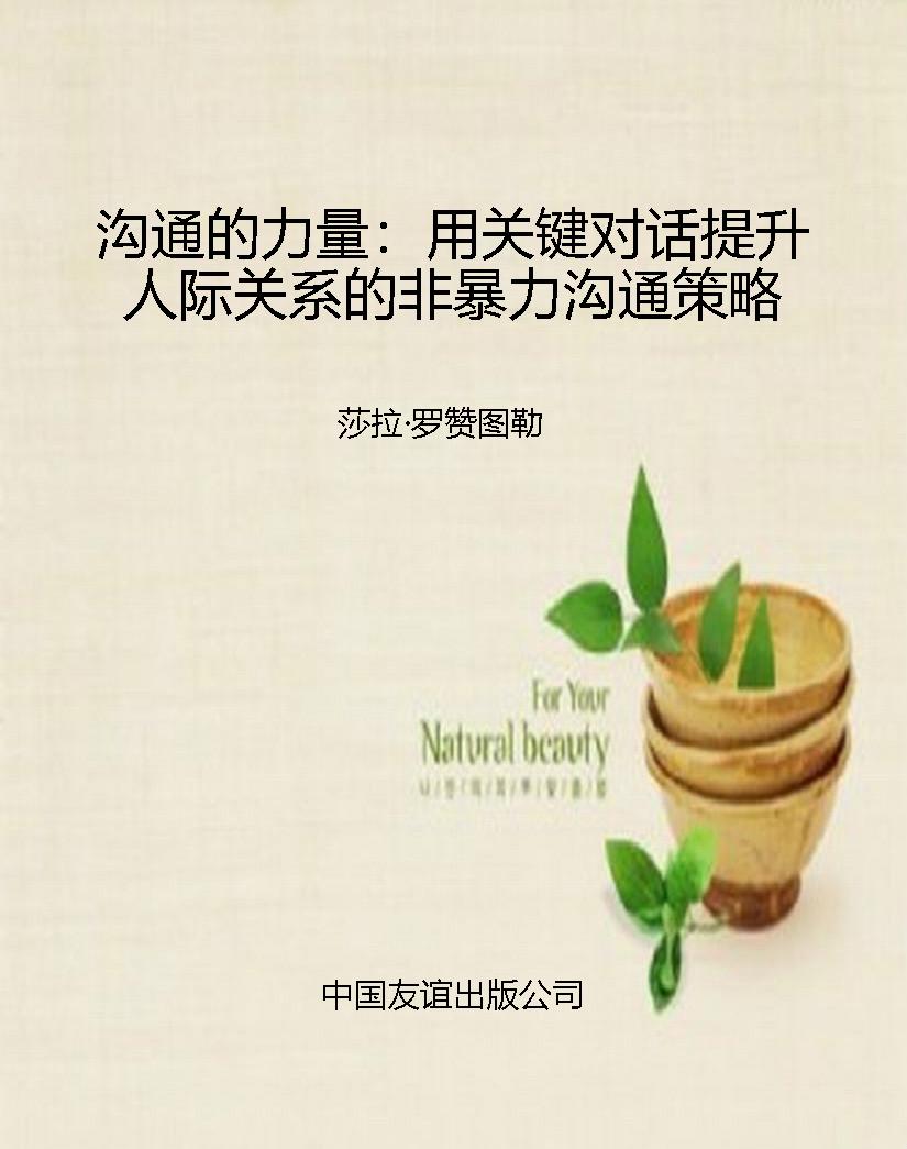 沟通的力量：用关键对话