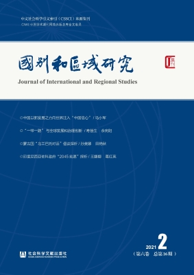 国别和区域研究（第六卷