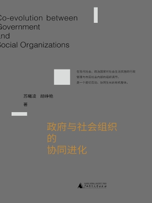 政府与社会组织的协同