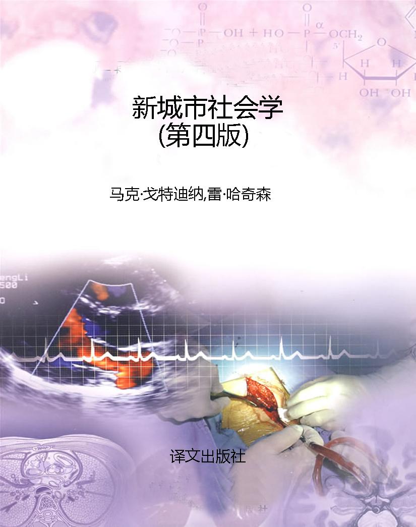 新城市社会学（第四版）