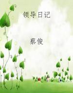 领导日记