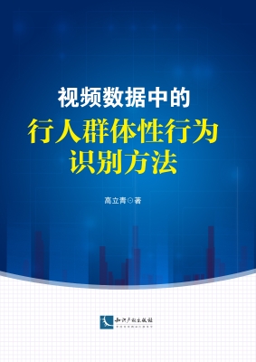 视频数据中的行人群体