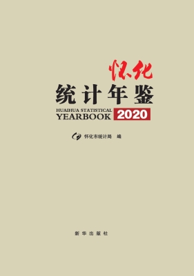 怀化统计年鉴 2020