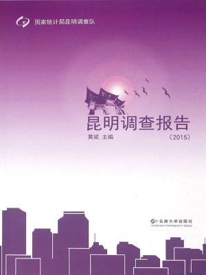 昆明调查报告（2015）