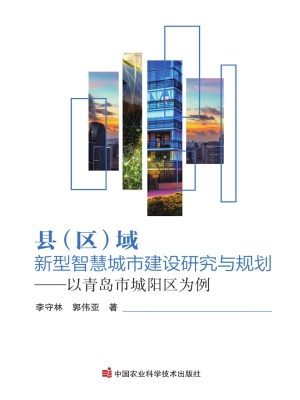 县（区）域新型智慧城市建