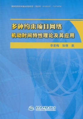 多种约束项目网络机动