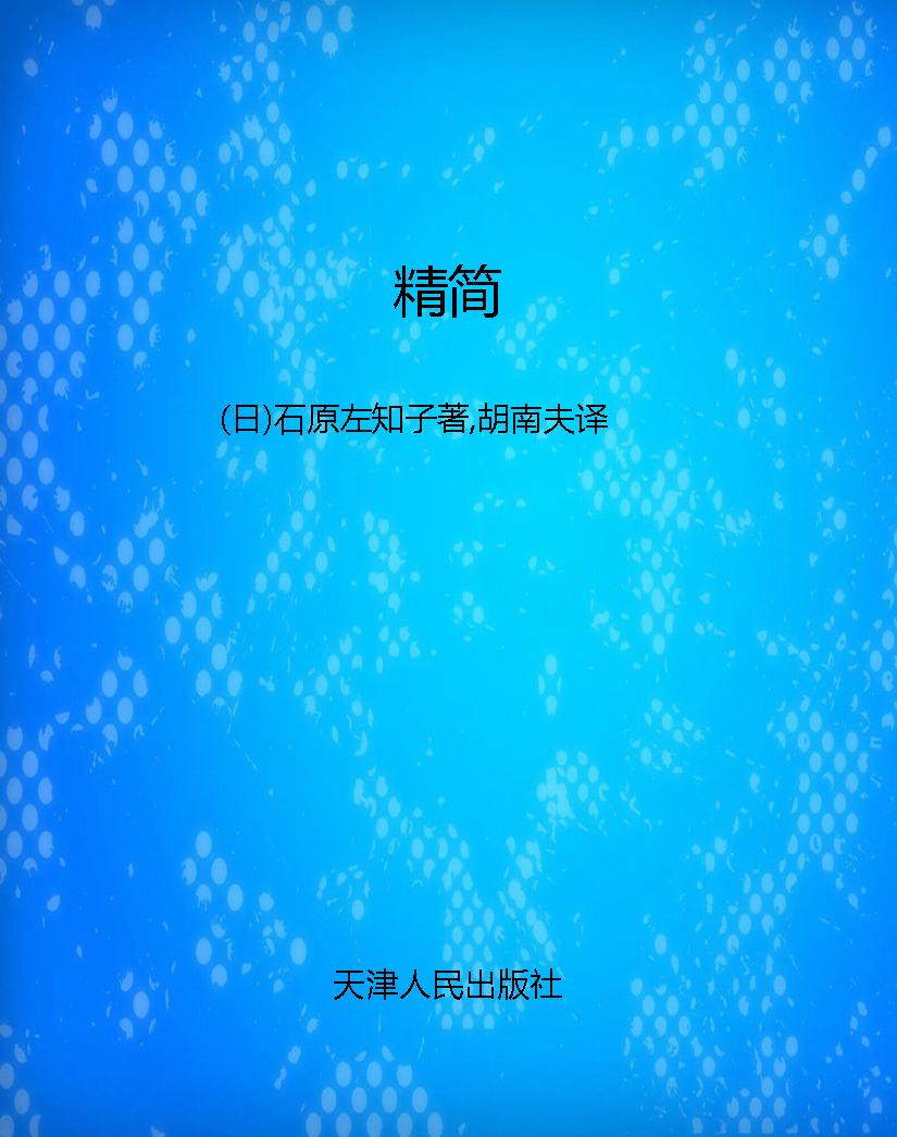 精简