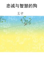 忠诚与智慧的狗