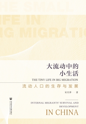 大流动中的小生活——
