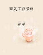 高效工作策略