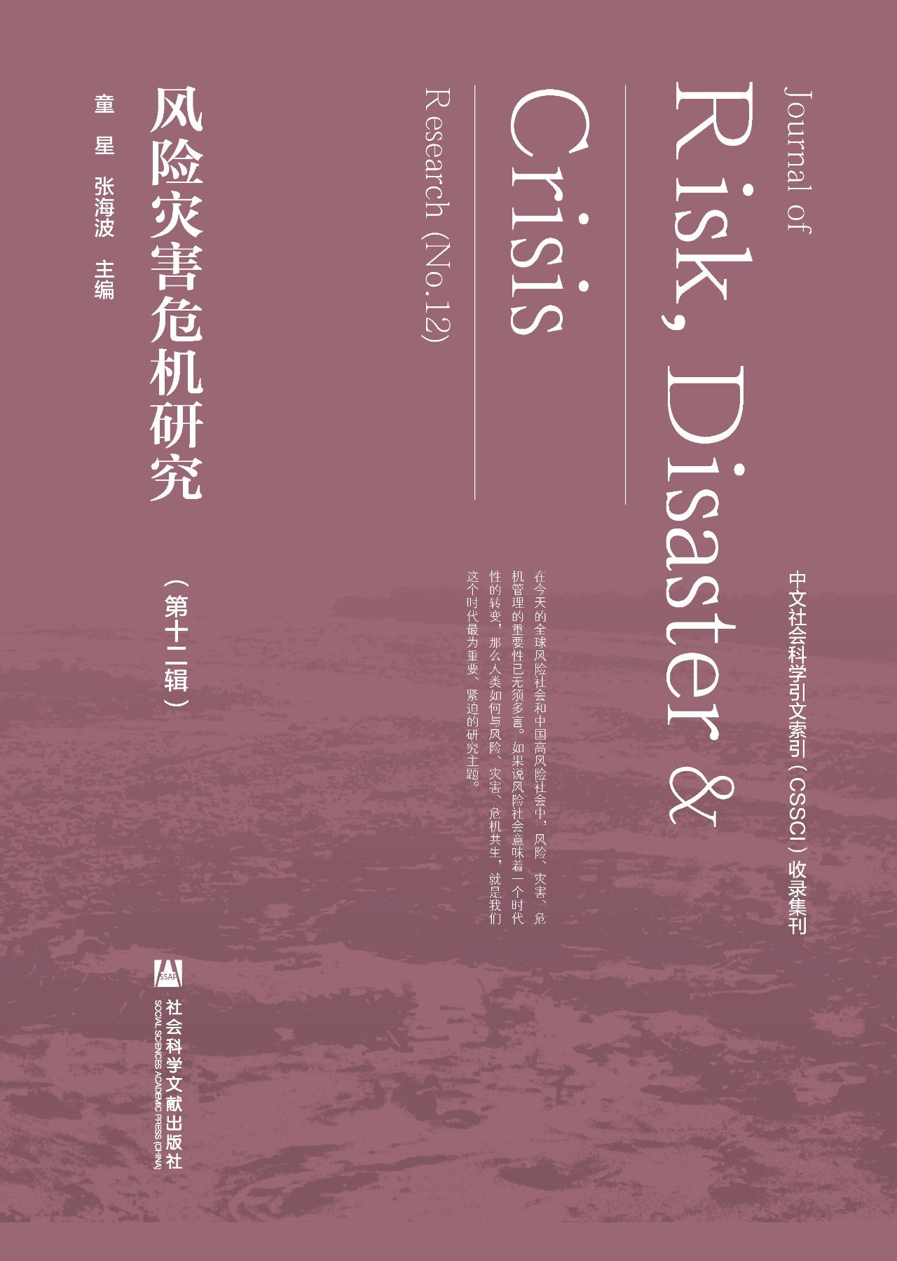 风险灾害危机研究（第12