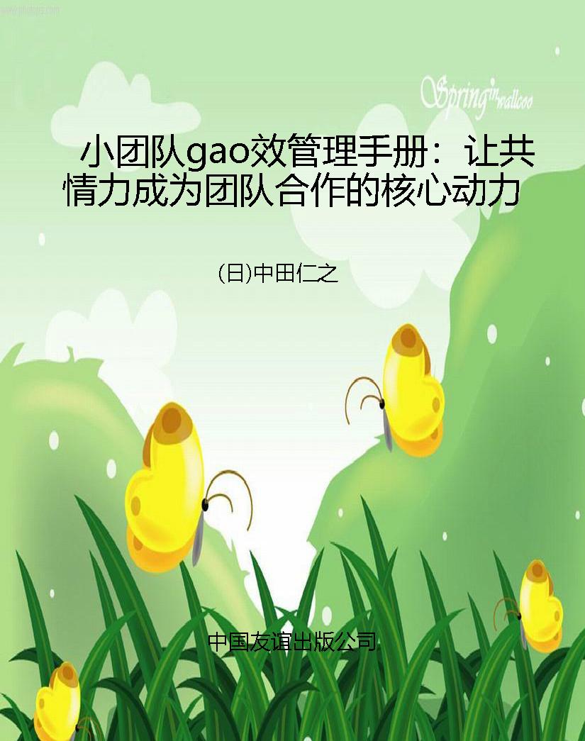 小团队gao效管理手册：