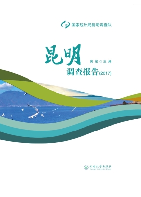 昆明调查报告（2017）