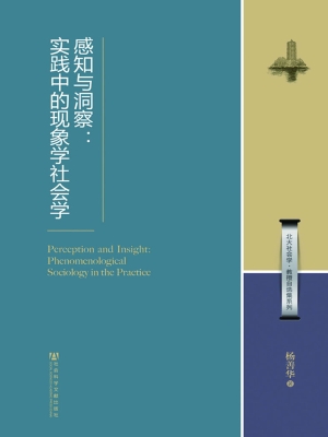 感知与洞察：实践中的现