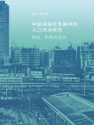 中国城镇化发展中的人