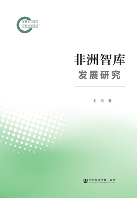 非洲智库发展研究