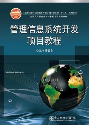 管理信息系统开发项目