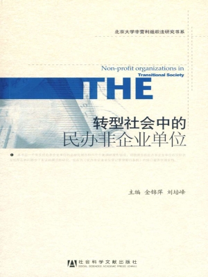 转型社会中的民办非企