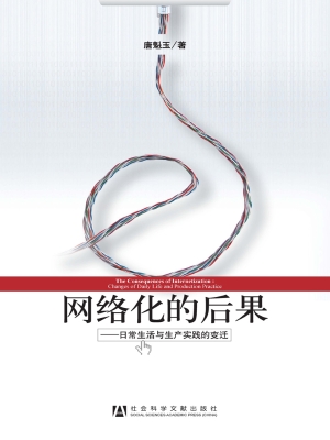 网络化的后果——日常