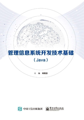 管理信息系统开发技术