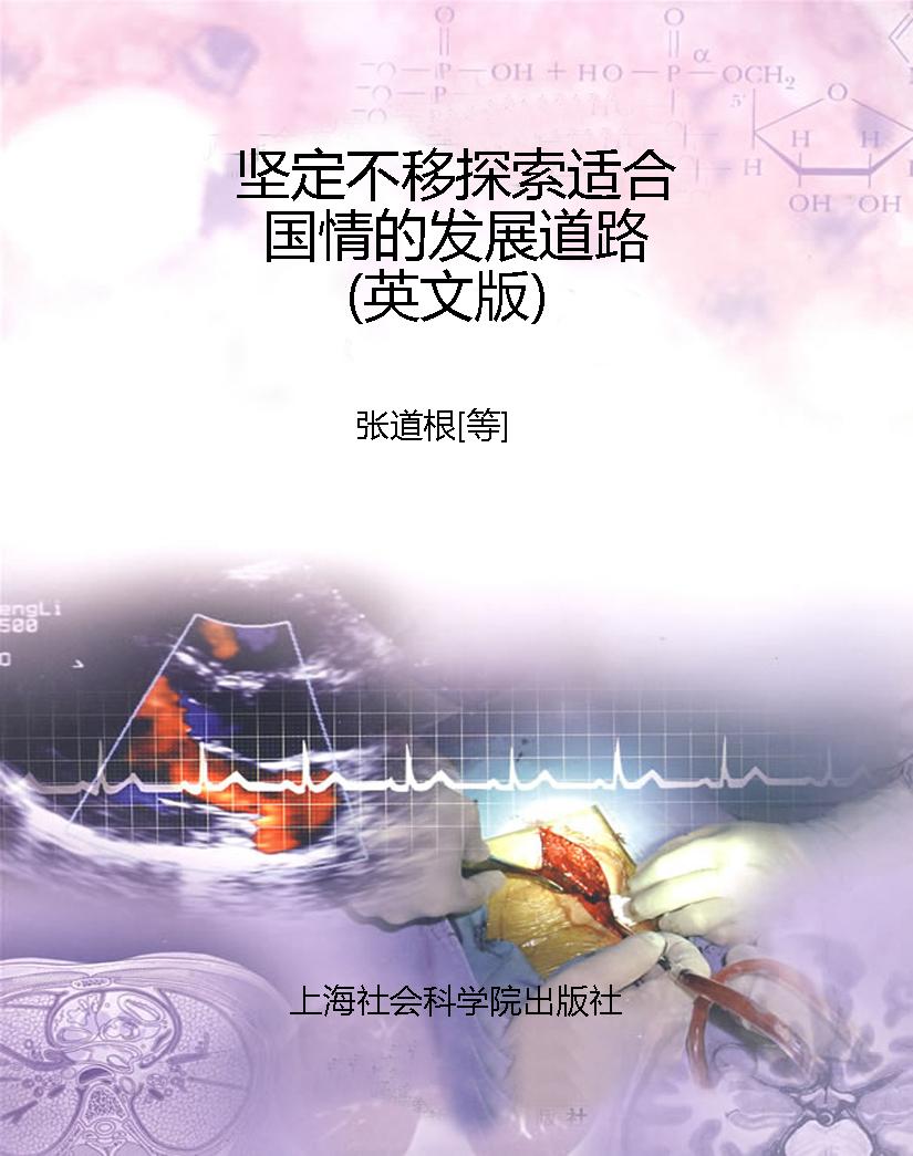 坚定不移探索适合国情