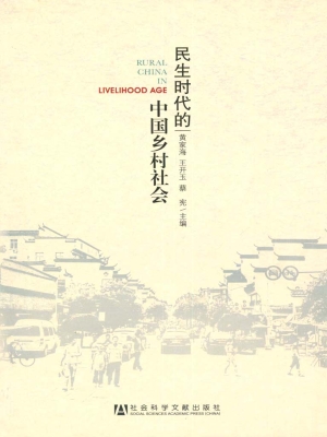 民生时代的中国乡村社