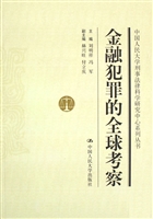 金融犯罪的全球考察