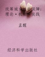 统筹城乡社会保障：理论