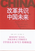 改革共识与中国未来