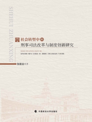 社会转型中的刑事司法