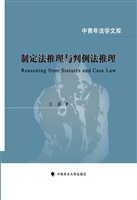 制定法推理与判例法推