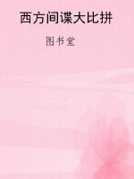 西方间谍大比拼