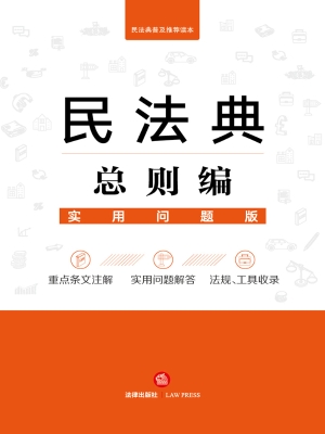 民法典总则编：实用问题