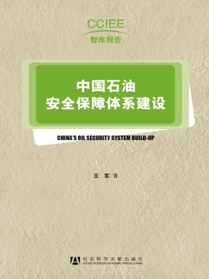 中国石油安全保障体系
