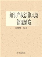 知识产权法律风险管理