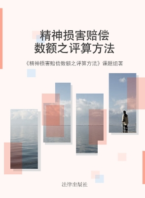精神损害赔偿数额之评
