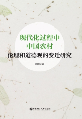 现代化过程中中国农村