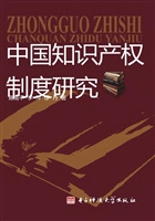 中国知识产权制度研究