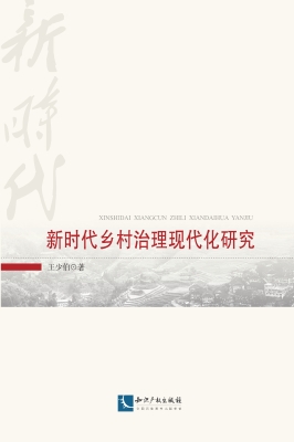 新时代乡村治理现代化