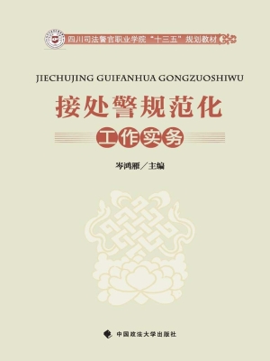 接处警规范化工作实务