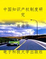 中国知识产权制度研究