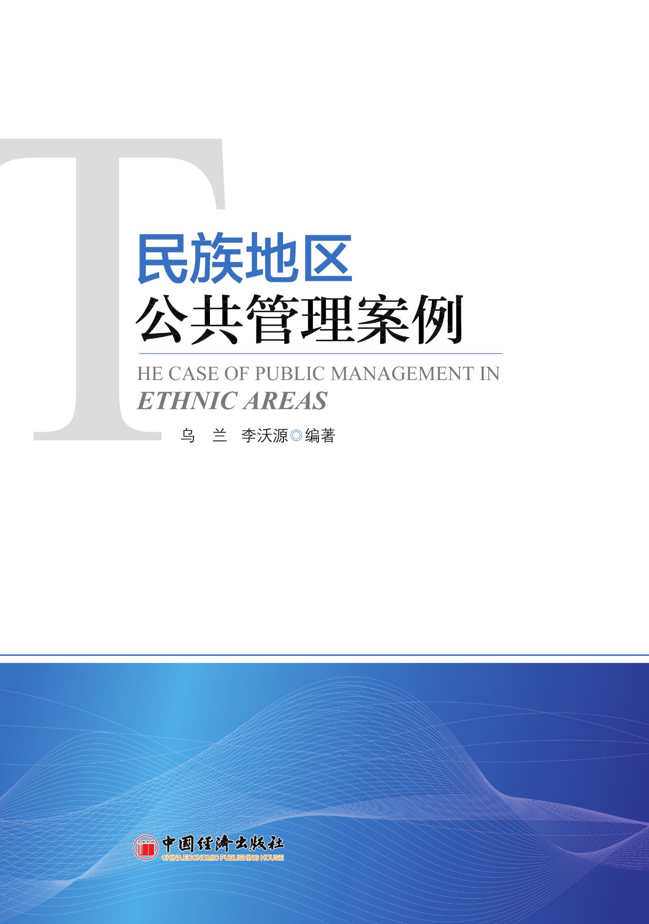 民族地区公共管理案例
