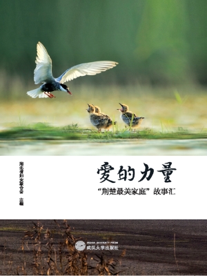 爱的力量——“荆楚最