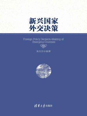 新兴国家外交决策